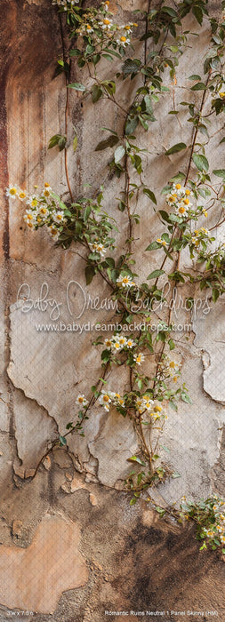 Romantic Ruins Neutral 1 Panel Skinny (HM)