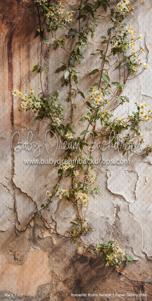 Romantic Ruins Neutral 1 Panel Skinny (HM)