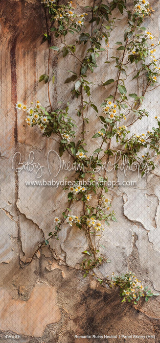 Romantic Ruins Neutral 1 Panel Skinny (HM)