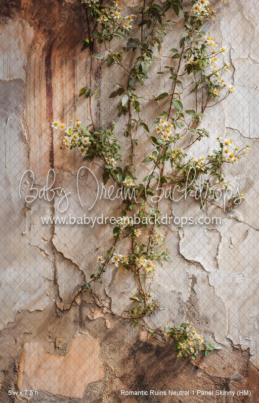Romantic Ruins Neutral 1 Panel Skinny (HM)