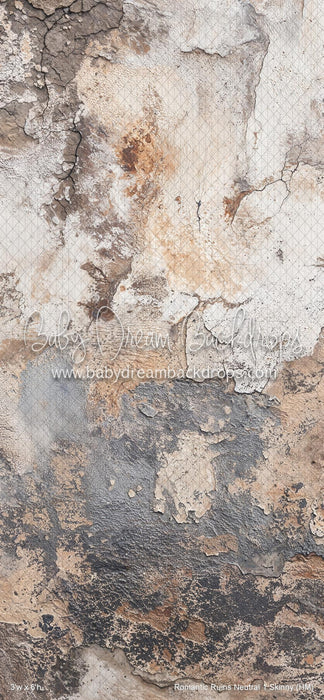 Romantic Ruins Neutral 1 Skinny (HM)