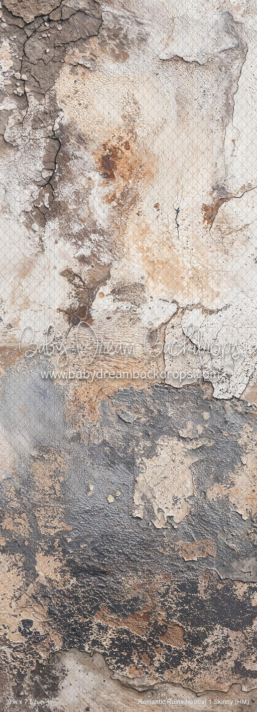 Romantic Ruins Neutral 1 Skinny (HM)