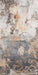 Romantic Ruins Neutral 1 Skinny (HM)