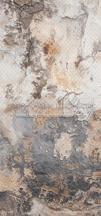 Romantic Ruins Neutral 1 Skinny (HM)