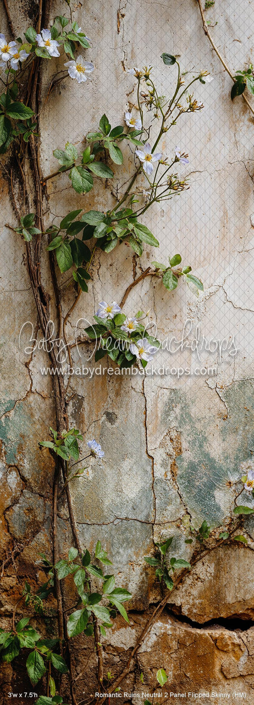 Romantic Ruins Neutral 2 Panel Flipped Skinny (HM)