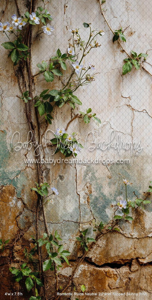 Romantic Ruins Neutral 2 Panel Flipped Skinny (HM)
