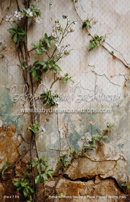 Romantic Ruins Neutral 2 Panel Flipped Skinny (HM)