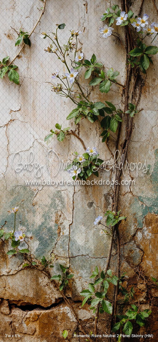 Romantic Ruins Neutral 2 Panel Skinny (HM)