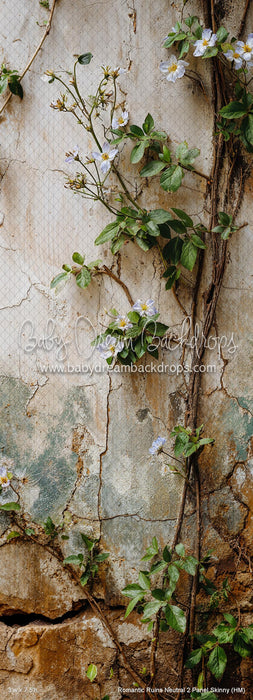 Romantic Ruins Neutral 2 Panel Skinny (HM)