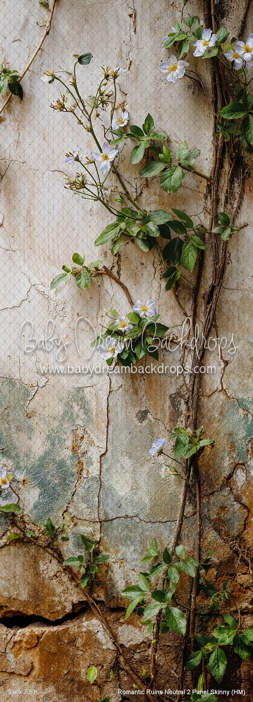 Romantic Ruins Neutral 2 Panel Skinny (HM)
