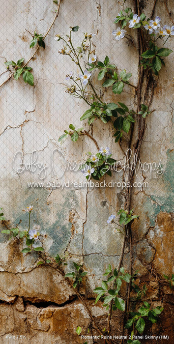 Romantic Ruins Neutral 2 Panel Skinny (HM)