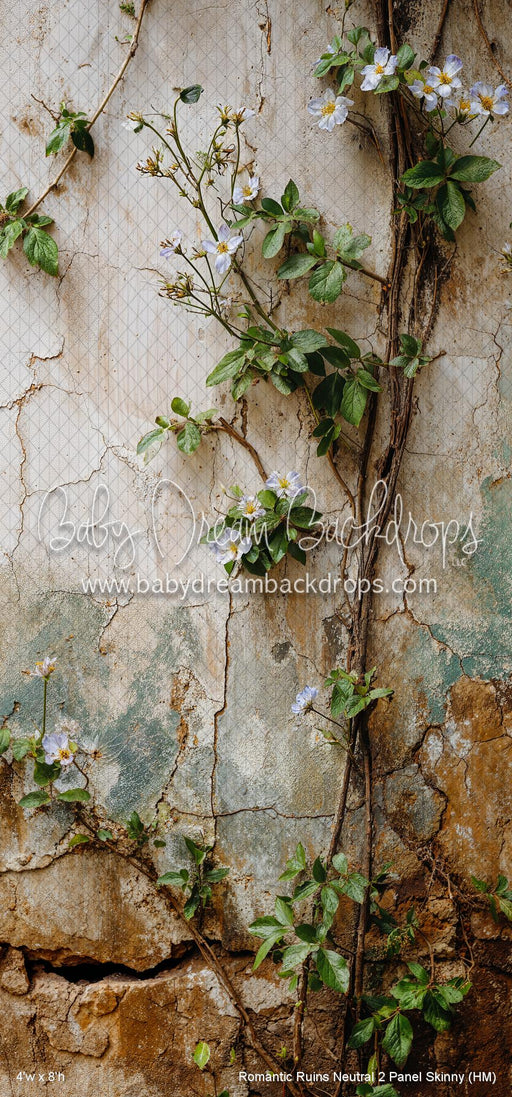 Romantic Ruins Neutral 2 Panel Skinny (HM)