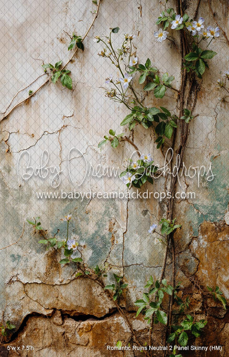 Romantic Ruins Neutral 2 Panel Skinny (HM)