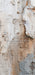 Romantic Ruins Neutral 2 Skinny (HM)