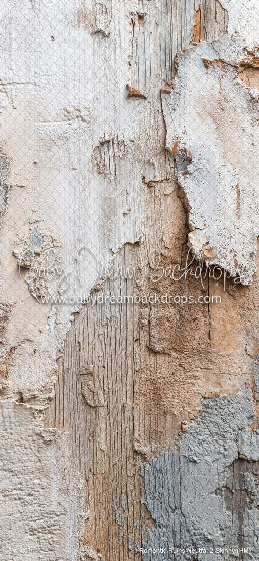 Romantic Ruins Neutral 2 Skinny (HM)
