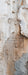 Romantic Ruins Neutral 2 Skinny (HM)
