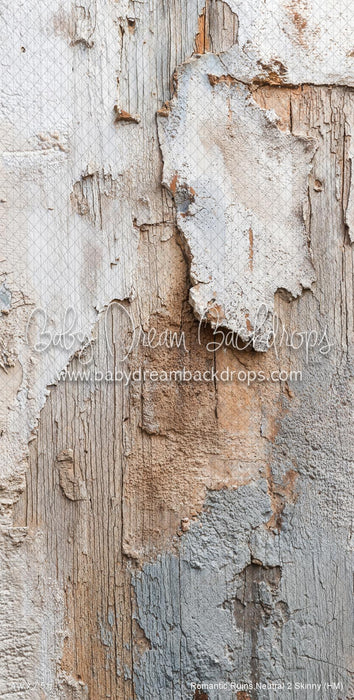Romantic Ruins Neutral 2 Skinny (HM)