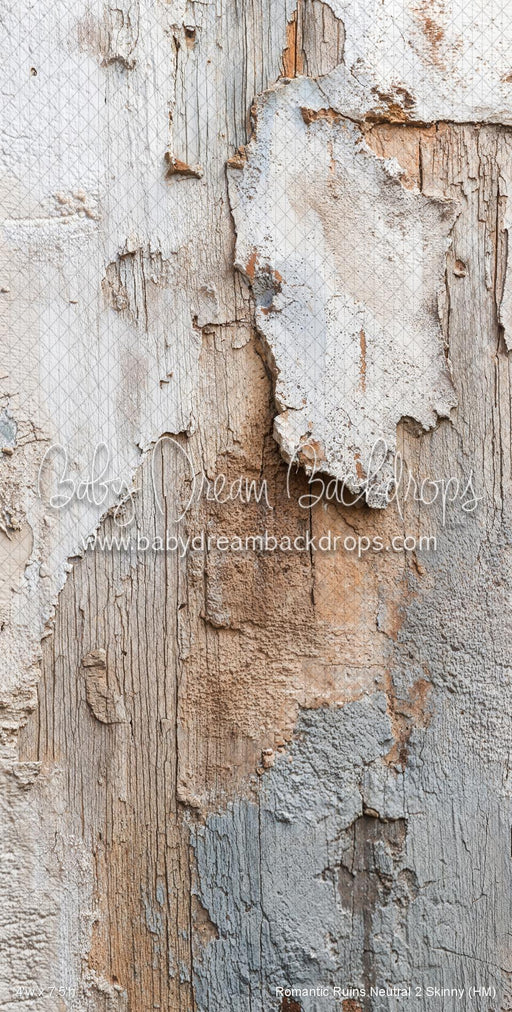 Romantic Ruins Neutral 2 Skinny (HM)