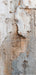 Romantic Ruins Neutral 2 Skinny (HM)