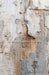 Romantic Ruins Neutral 2 Skinny (HM)