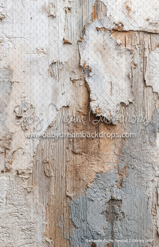 Romantic Ruins Neutral 2 Skinny (HM)