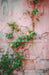 Romantic Ruins Pink 1 Panel Flipped Skinny (HM)