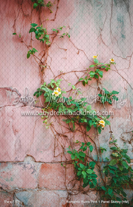 Romantic Ruins Pink 1 Panel Skinny (HM)