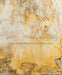 Romantic Ruins Yellow 1 Bitty (HM)