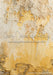 Romantic Ruins Yellow 1 Itty Bitty (HM)