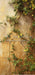 Romantic Ruins Yellow 1 Panel Flipped Skinny (HM)