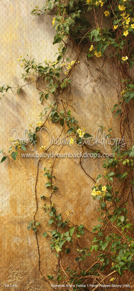 Romantic Ruins Yellow 1 Panel Flipped Skinny (HM)