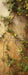 Romantic Ruins Yellow 1 Panel Flipped Skinny (HM)