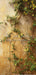 Romantic Ruins Yellow 1 Panel Flipped Skinny (HM)