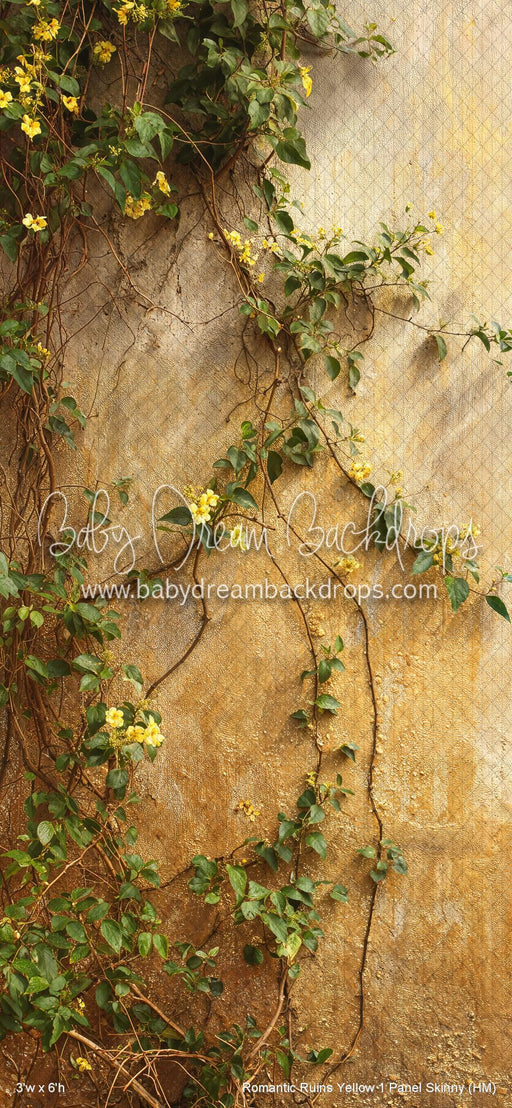 Romantic Ruins Yellow 1 Panel Skinny (HM)