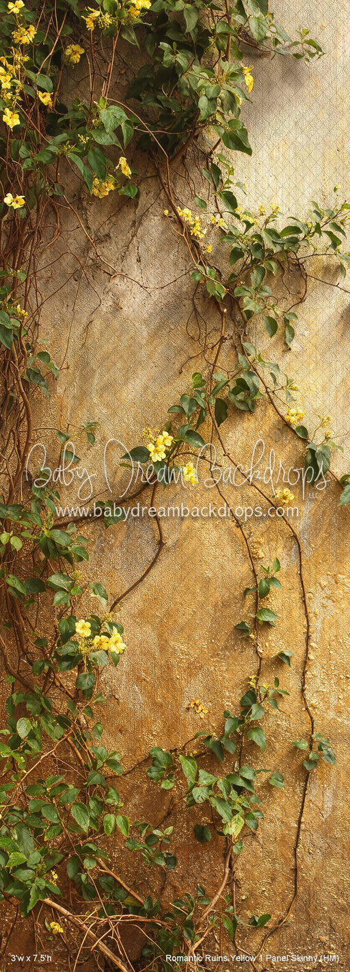 Romantic Ruins Yellow 1 Panel Skinny (HM)
