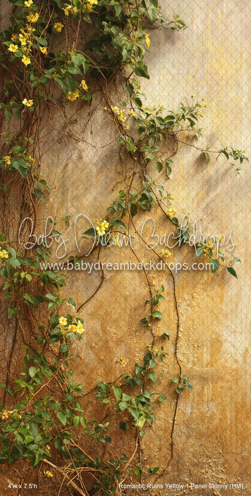 Romantic Ruins Yellow 1 Panel Skinny (HM)
