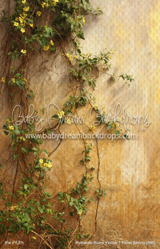 Romantic Ruins Yellow 1 Panel Skinny (HM)