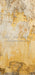 Romantic Ruins Yellow 1 Skinny (HM)