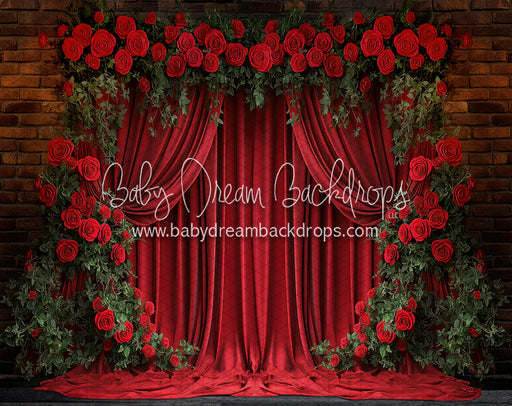 Romeo Rose Wall (KR)