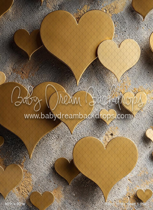 Room In My Heart 1 (HM)