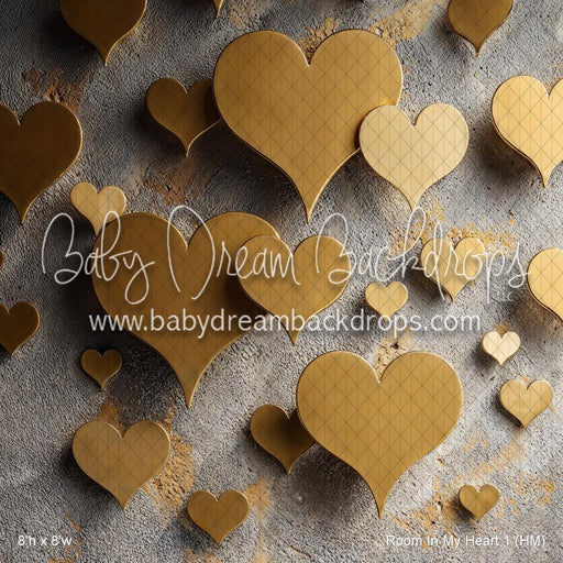 Room In My Heart 1 (HM)