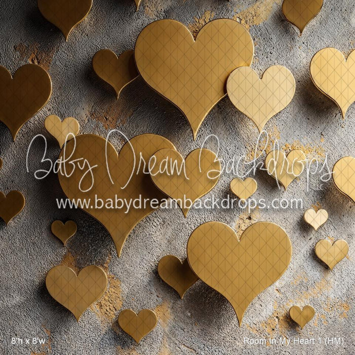 Room In My Heart 1 (HM)