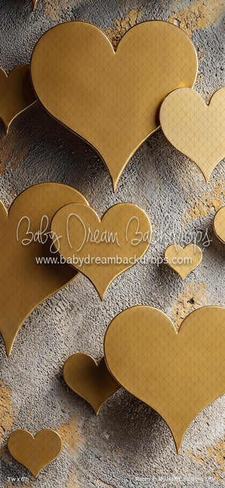 Room In My Heart 1 Skinny (HM)