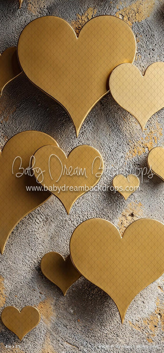 Room In My Heart 1 Skinny (HM)