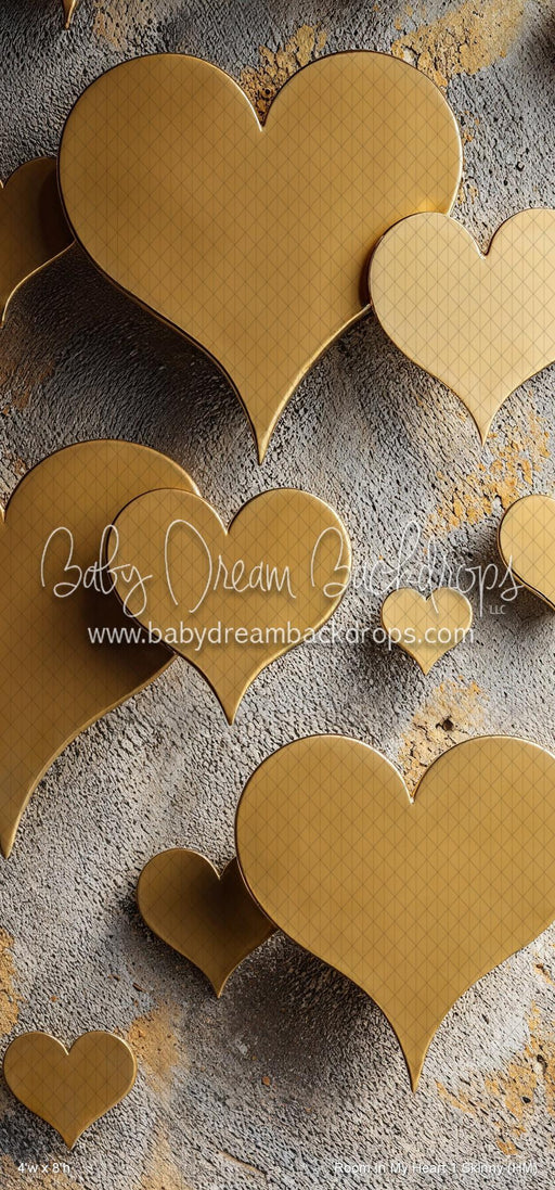 Room In My Heart 1 Skinny (HM)