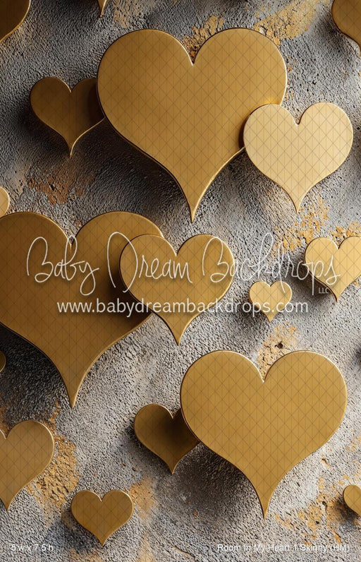 Room In My Heart 1 Skinny (HM)