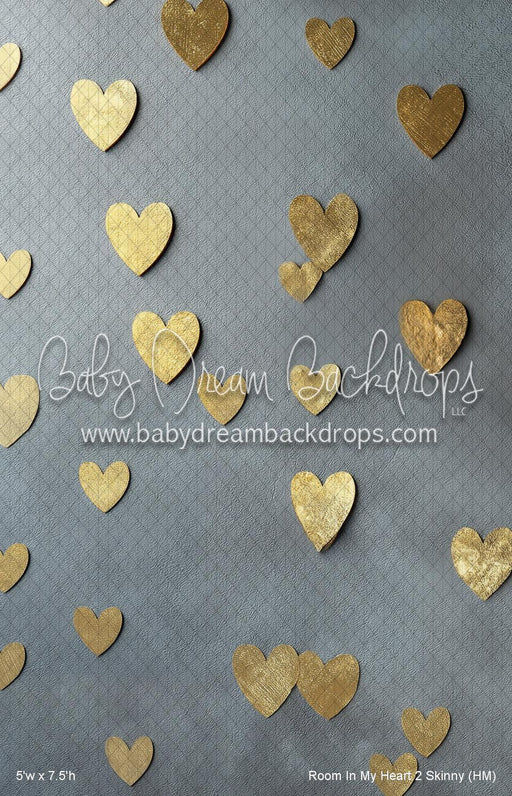 Room In My Heart 2 Skinny (HM)