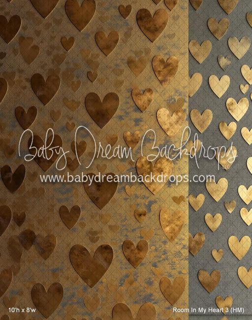 Room In My Heart 3 (HM)