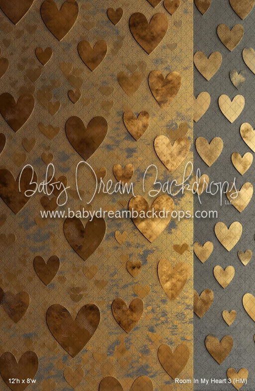 Room In My Heart 3 (HM)