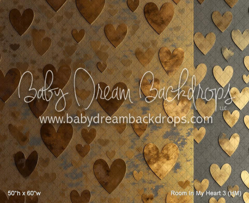 Room In My Heart 3 (HM)